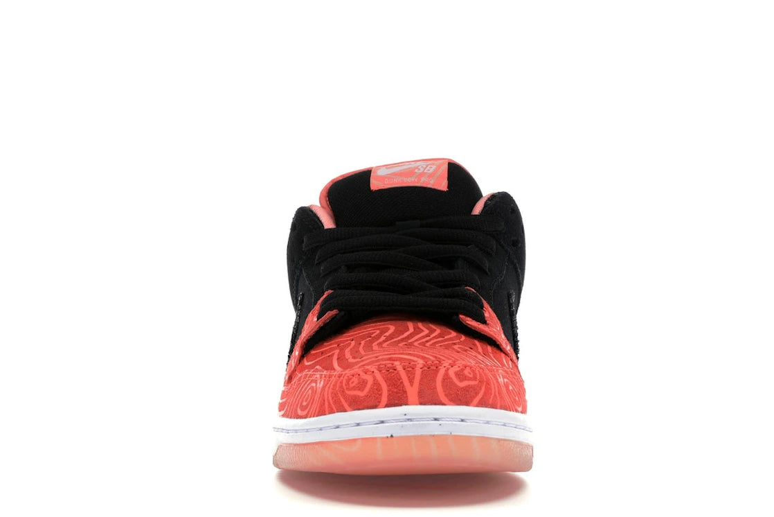 Nike SB Dunk Low Premier Fish Ladder - vue secondaire B
