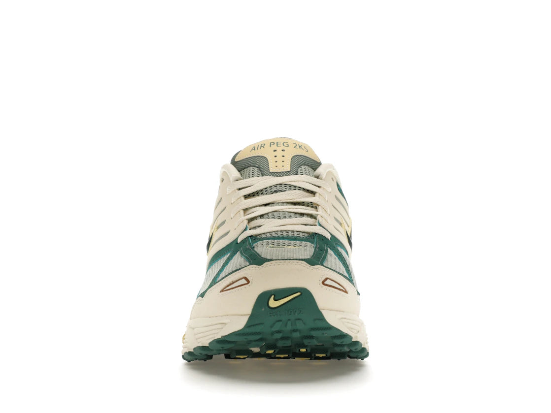 Nike Air Peg 2K5 Bicoastal