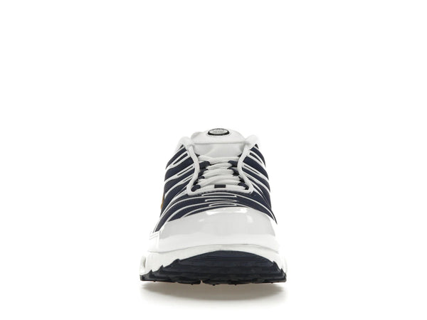 Nike Air Max Plus PSG