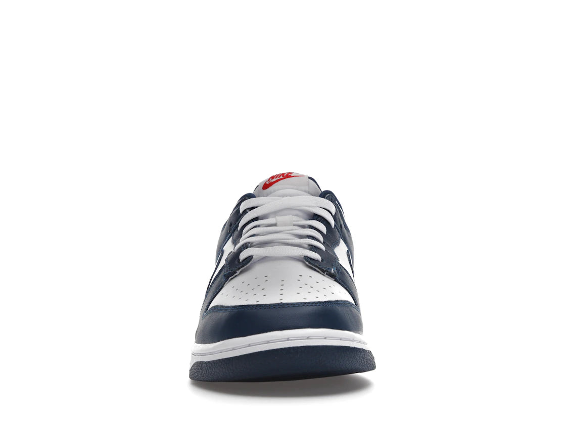 Nike Dunk Low Valerian Blue - vue secondaire B