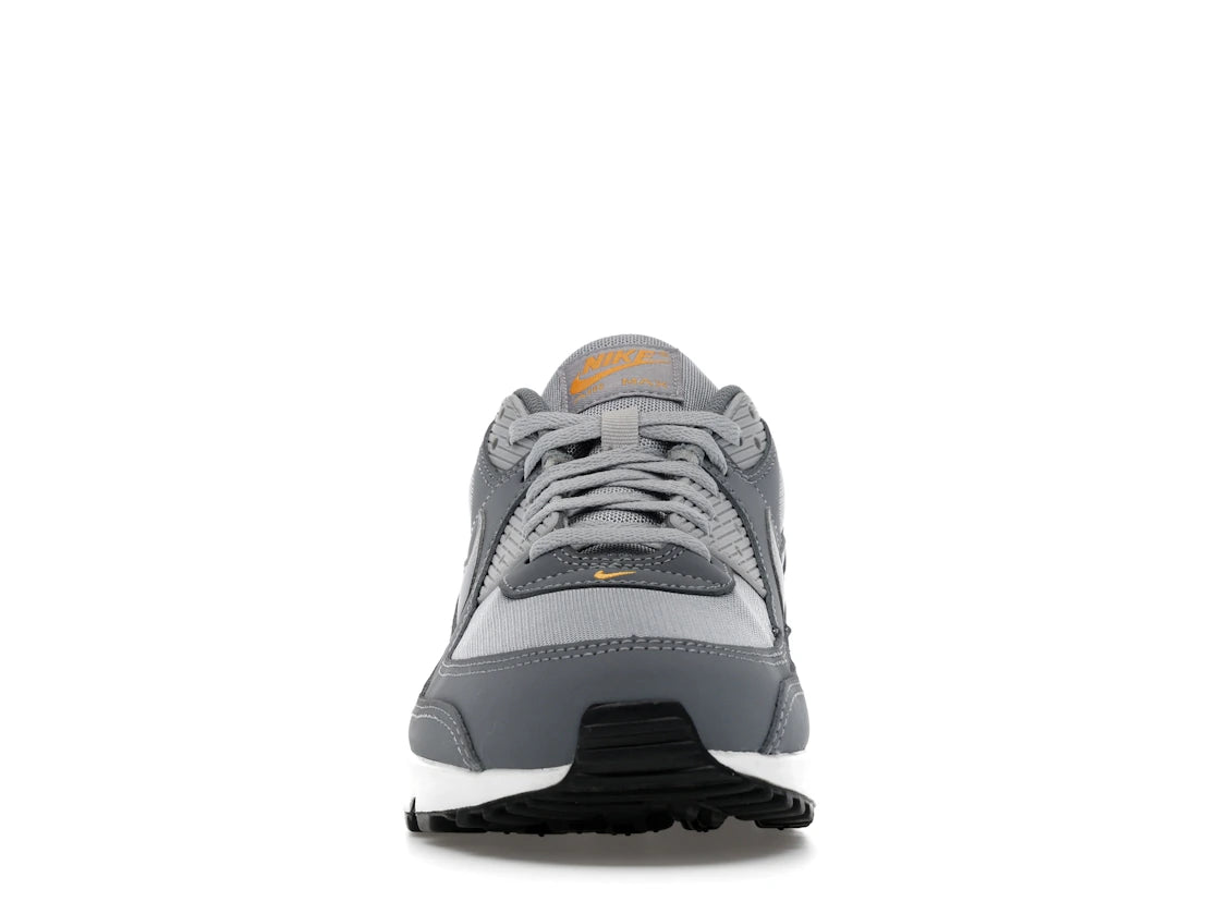 Nike Air Max 90 Cool Grey Sundial