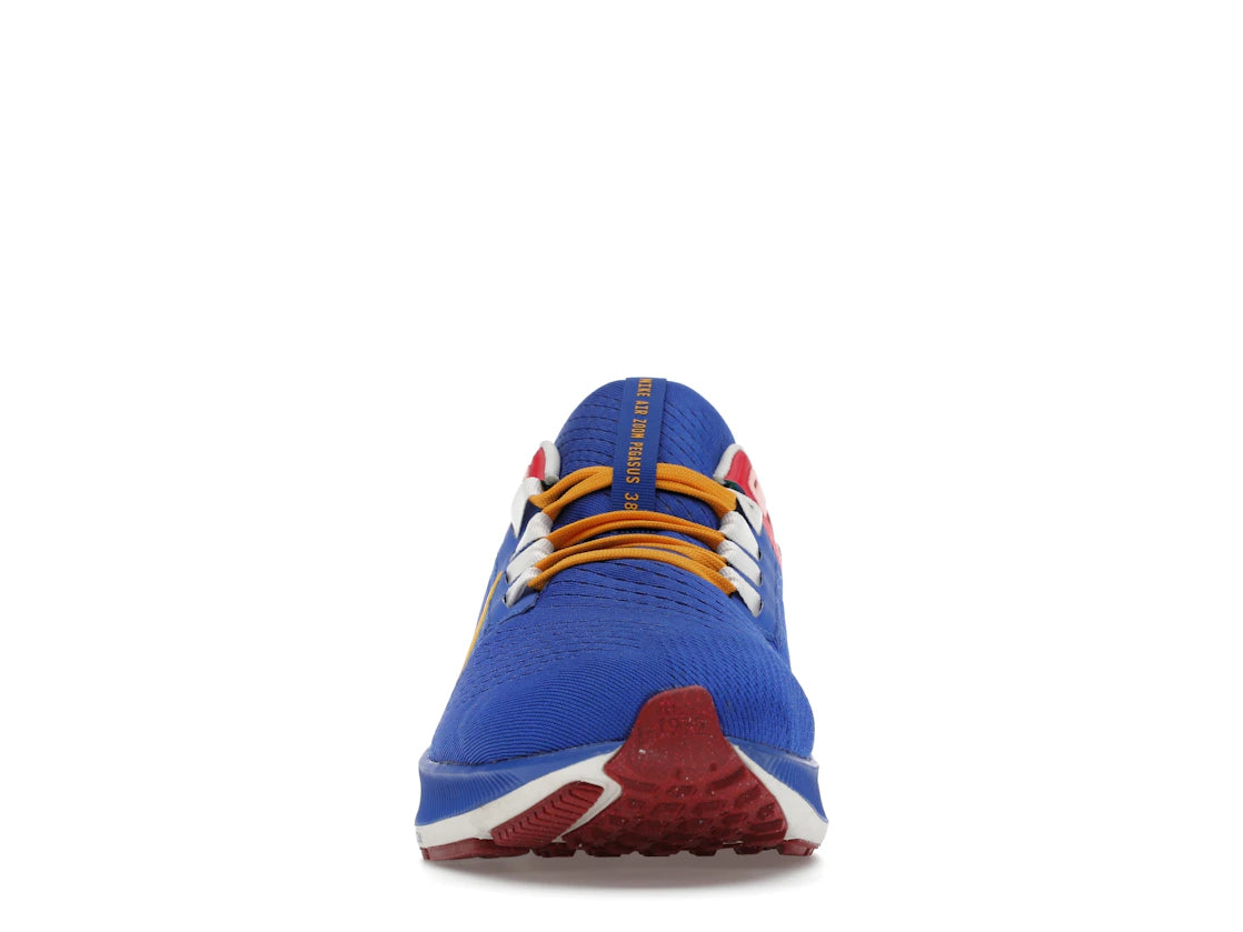 Nike Air Zoom Pegasus 38 A.I.R. Jordan Moss