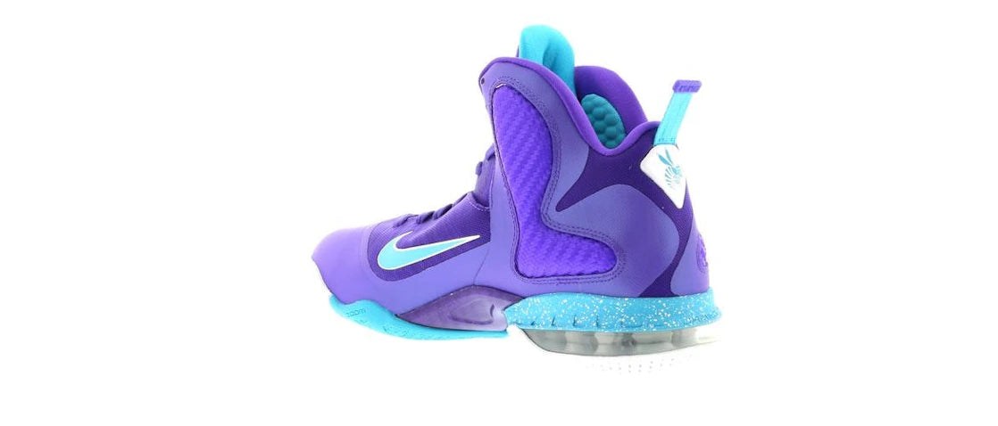 Nike LeBron 9 Summit Lake Hornets - vue secondaire B