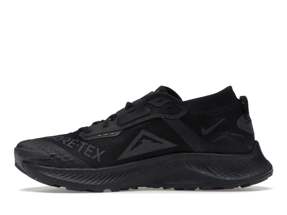 Nike Pegasus Trail 3 Gore-Tex Black Dark Smoke Grey