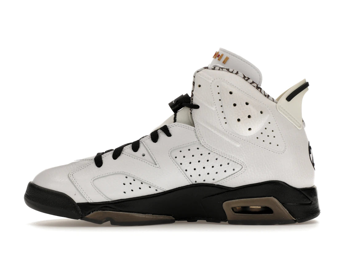 Jordan 6 Retro Motorsport