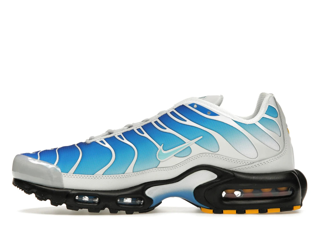 Nike Air Max Plus One Block Down Light Photo Blue