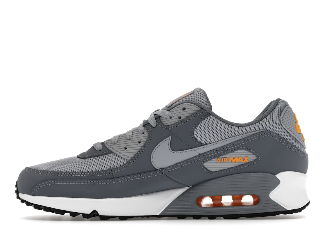 Nike Air Max 90 Cool Grey Sundial