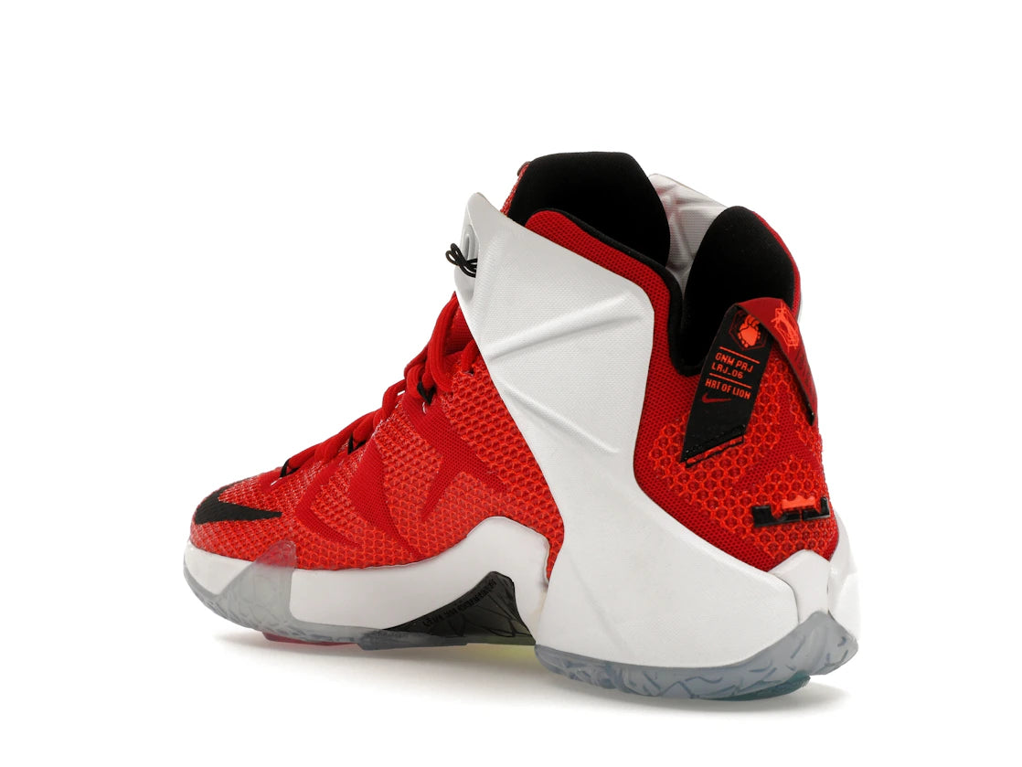 Nike LeBron 12 Heart of a Lion - vue secondaire B