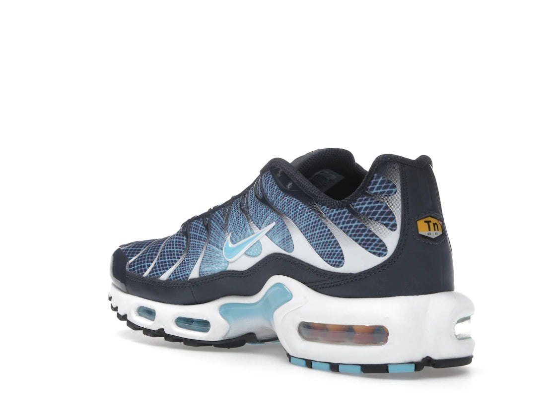 Nike Air Max Plus Dark Obsidian