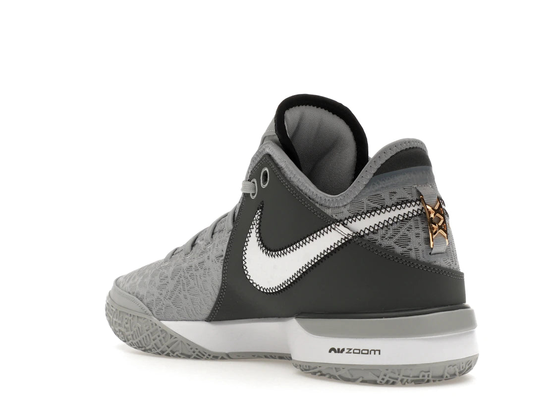 Nike Zoom LeBron NXXT Gen Wolf Gray Metallic Gold - vue secondaire B