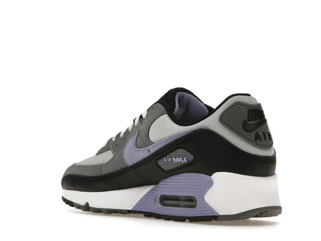 Nike Air Max 90 Photon Dust Light Thistle - vue secondaire B