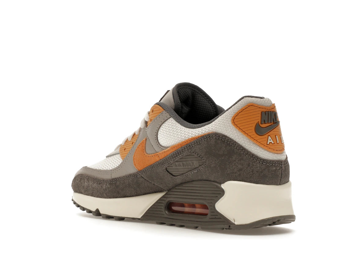 Nike Air Max 90 Premium Flat Pewter College Grey Phantom Copper Moon - vue secondaire B