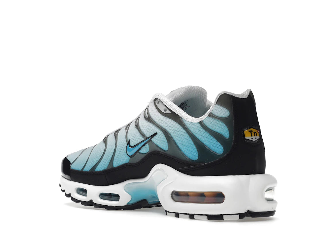 Nike Air Max Plus Baltic Blue - vue secondaire B