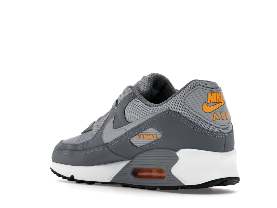 Nike Air Max 90 Cool Grey Sundial - vue secondaire B