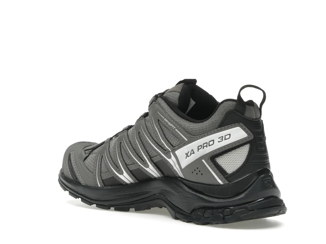 Salomon XA Pro 3D Gore-Tex Pewter Silver Cloud - vue secondaire B