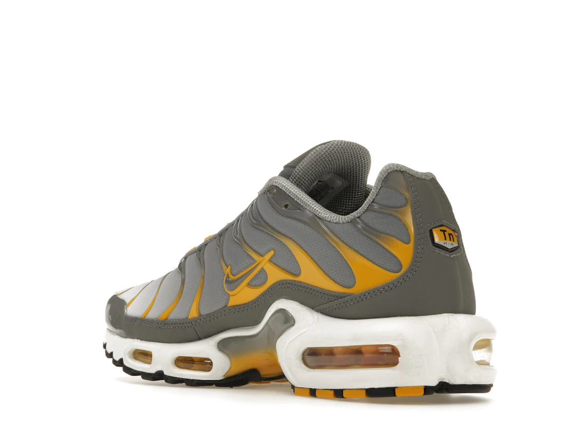 Nike Air Max Plus Particle Grey Particle Grey Dark Sulfur - vue secondaire B