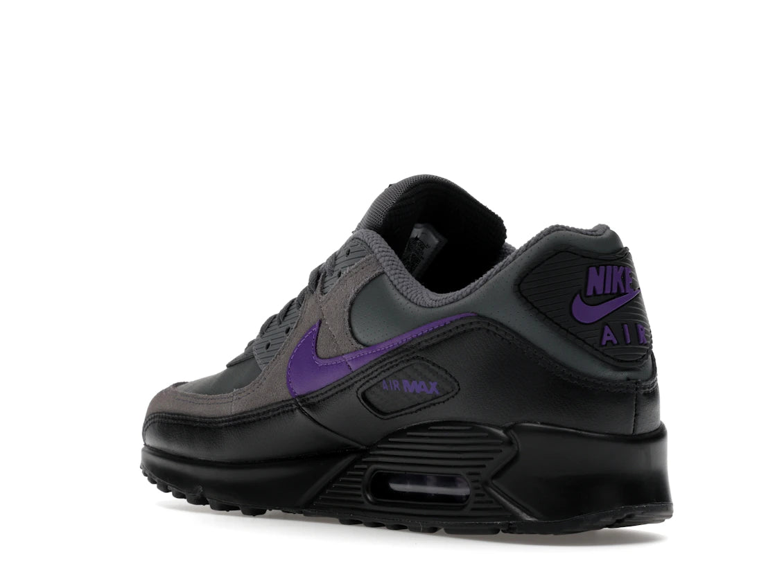 Nike Air Max 90 Iron Grey Wild Grape - vue secondaire B