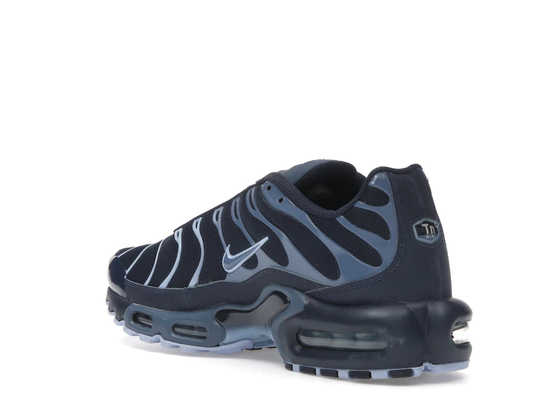 Nike Air Max Plus Obsidian Aluminum - vue secondaire B
