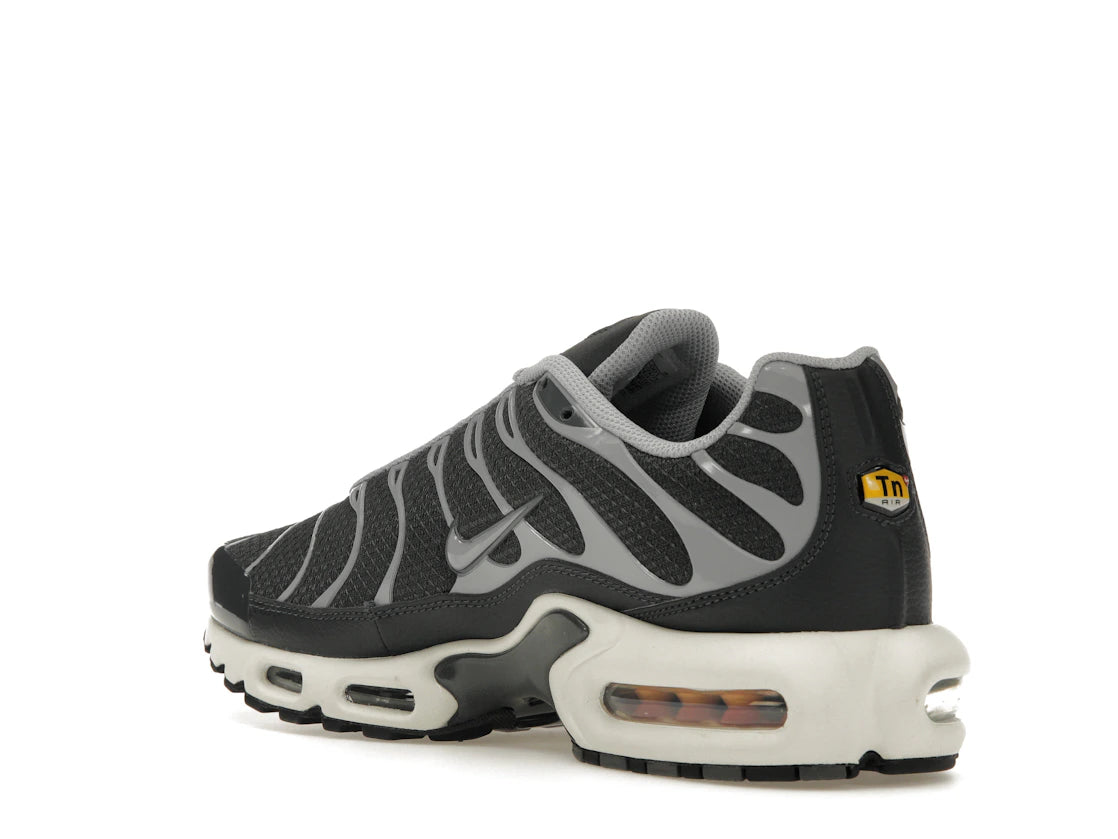 Nike Air Max Plus Greyscale Cool Grey - vue secondaire B