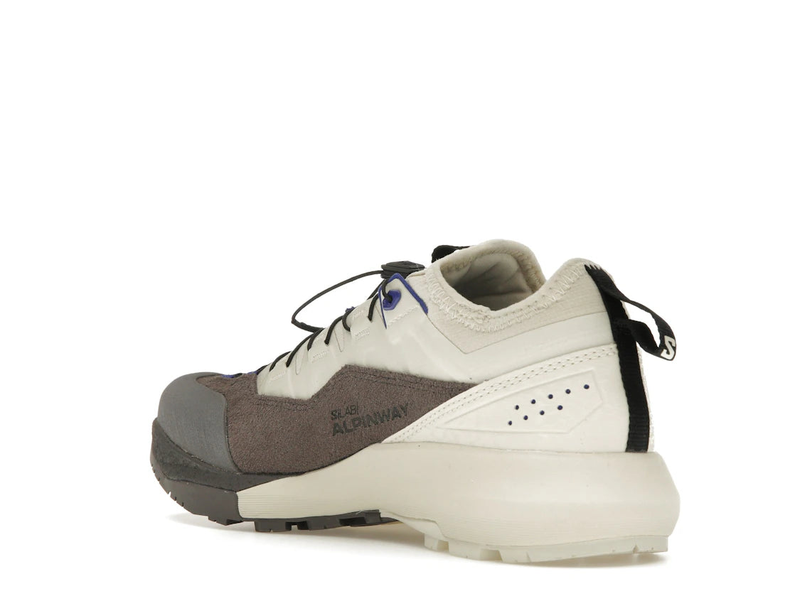 Salomon Alpinway Advanced Almond Milk Plum Kitten - vue secondaire B