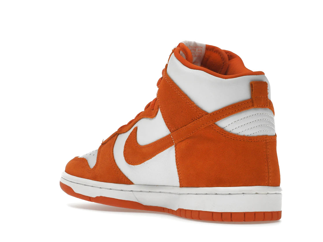 Nike SB Dunk High Pro Syracuse - vue secondaire B