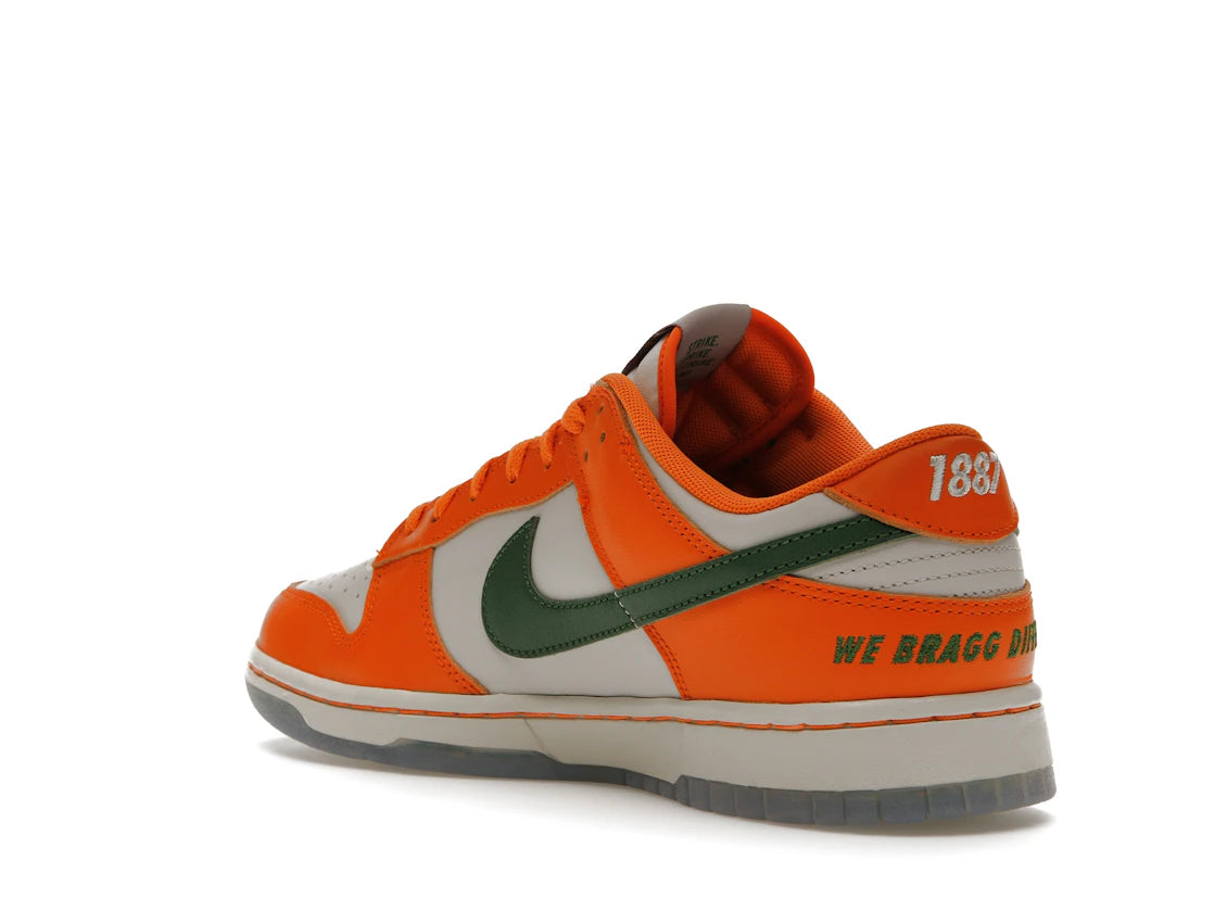 Nike Dunk Low FAMU - vue secondaire B
