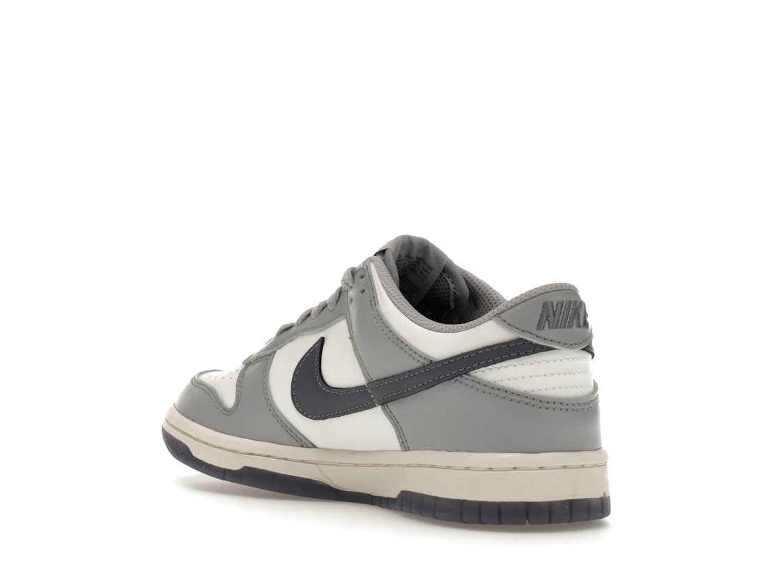 Nike Dunk Low Platinum Tint Light Carbon (GS) - vue secondaire B