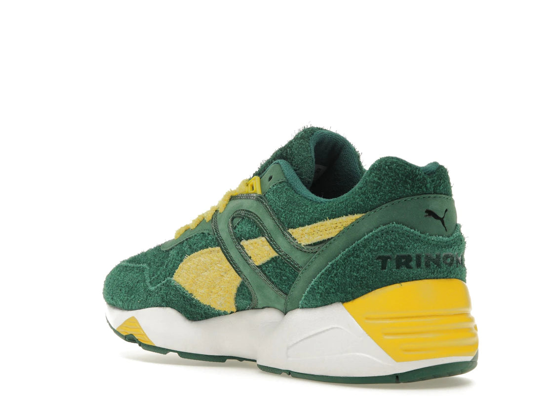 Puma R698 Super Puma Evergreen - vue secondaire B
