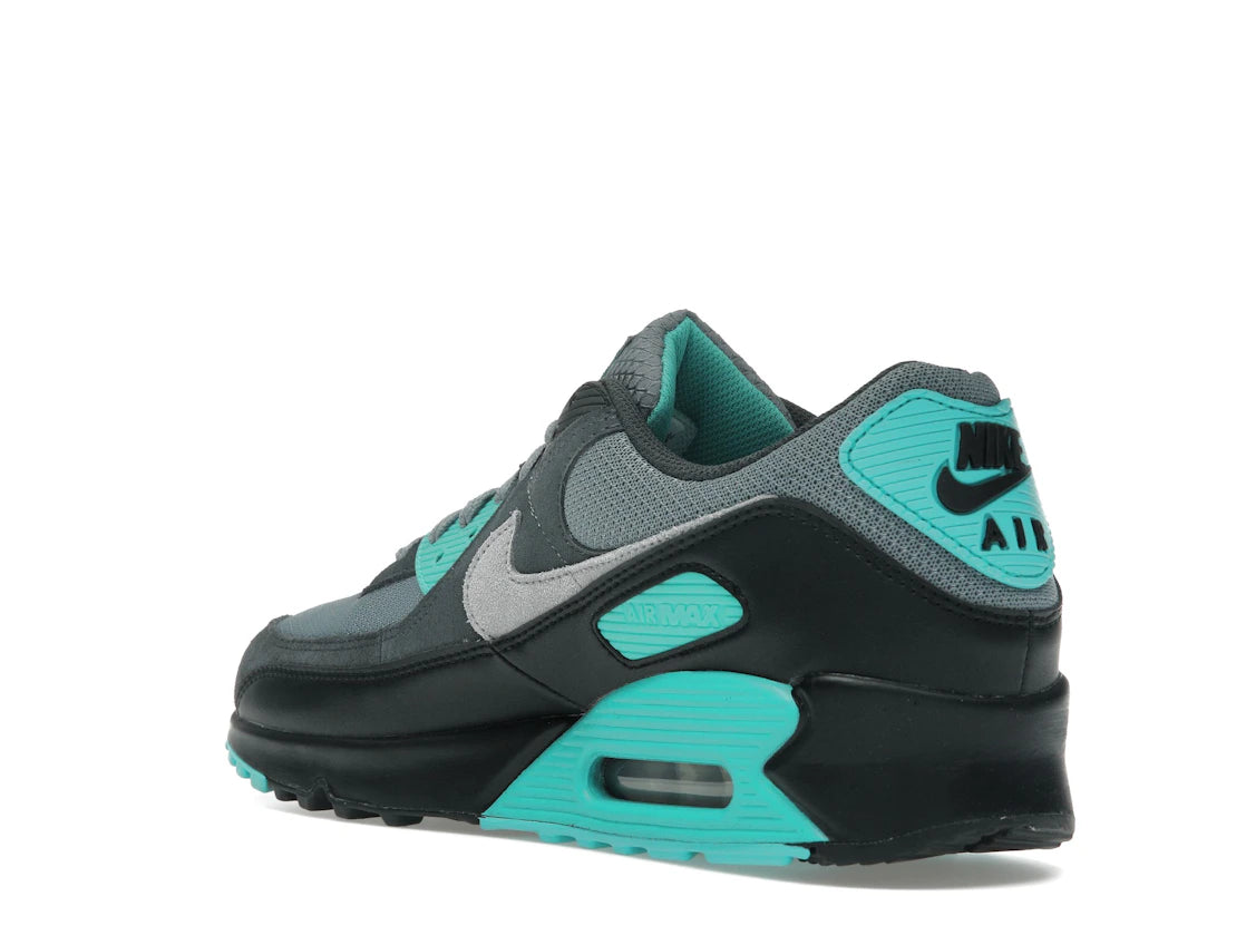 Nike Air Max 90 Cool Grey Dusty Cactus Black Wolf Grey - vue secondaire B