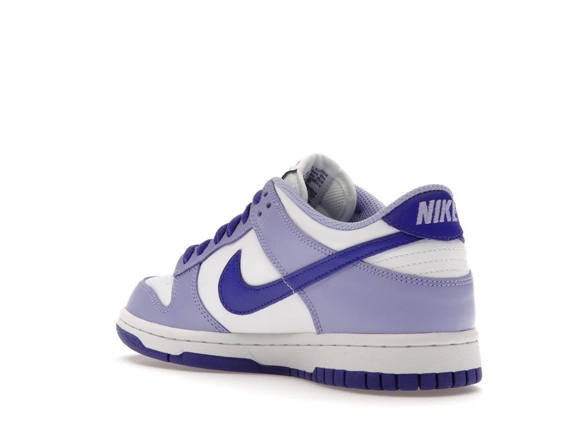 Nike Dunk Low Blueberry (GS) - vue secondaire B