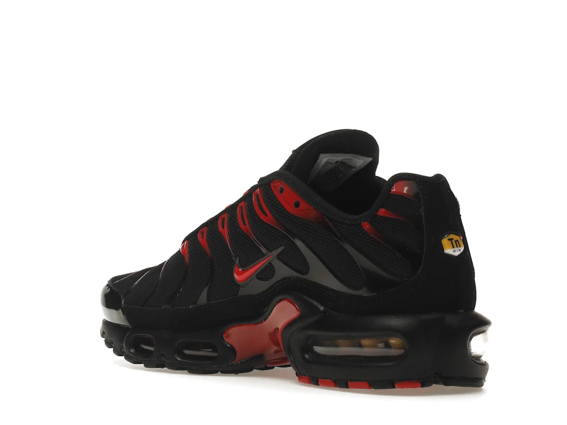 Nike Air Max Plus Bred - vue secondaire B