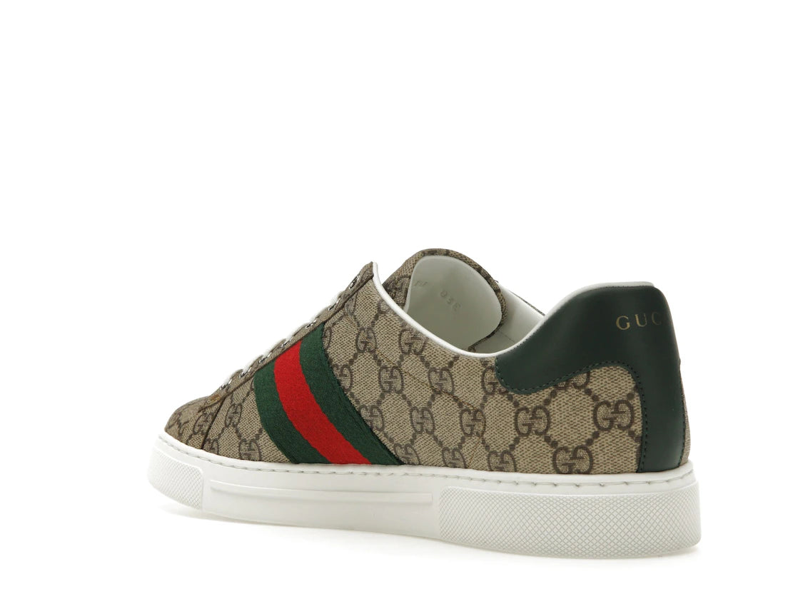 Gucci Ace Web Beige Ebony - vue secondaire B