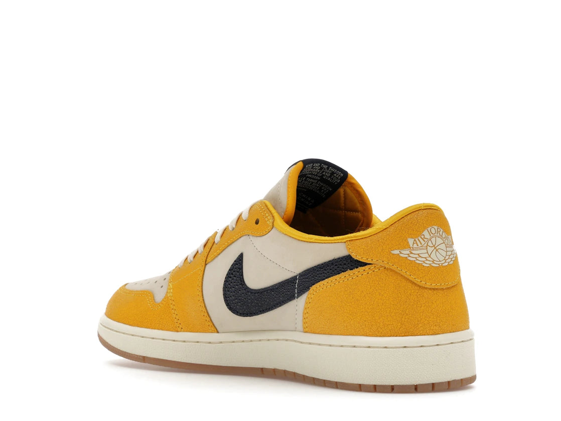 Jordan 1 Retro Low OG Michigan PE (2023) - vue secondaire B