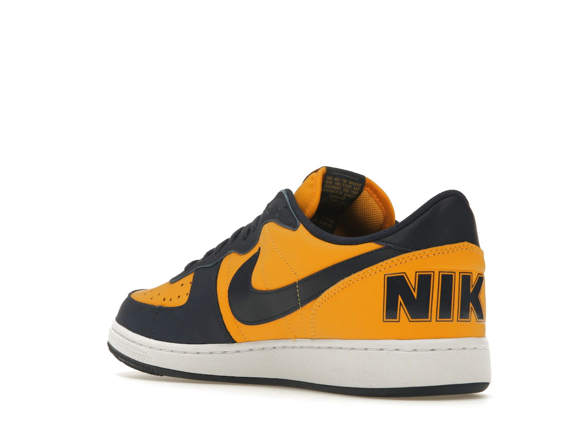 Nike Terminator Low Michigan - vue secondaire B