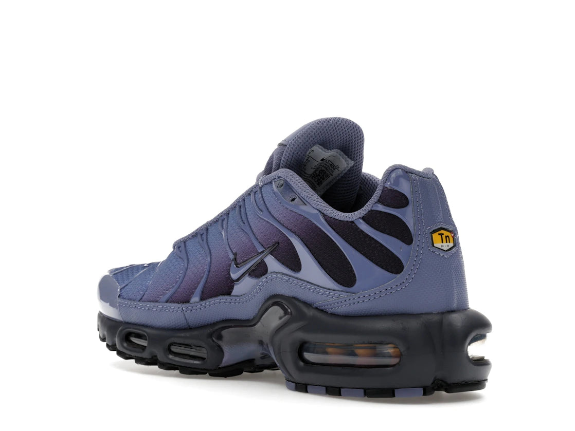 Nike Air Max Plus World Indigo - vue secondaire B