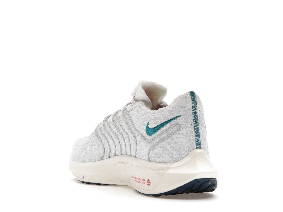 Nike Pegasus Turbo Next Nature Pure Platinum Valerian Blue - vue secondaire B
