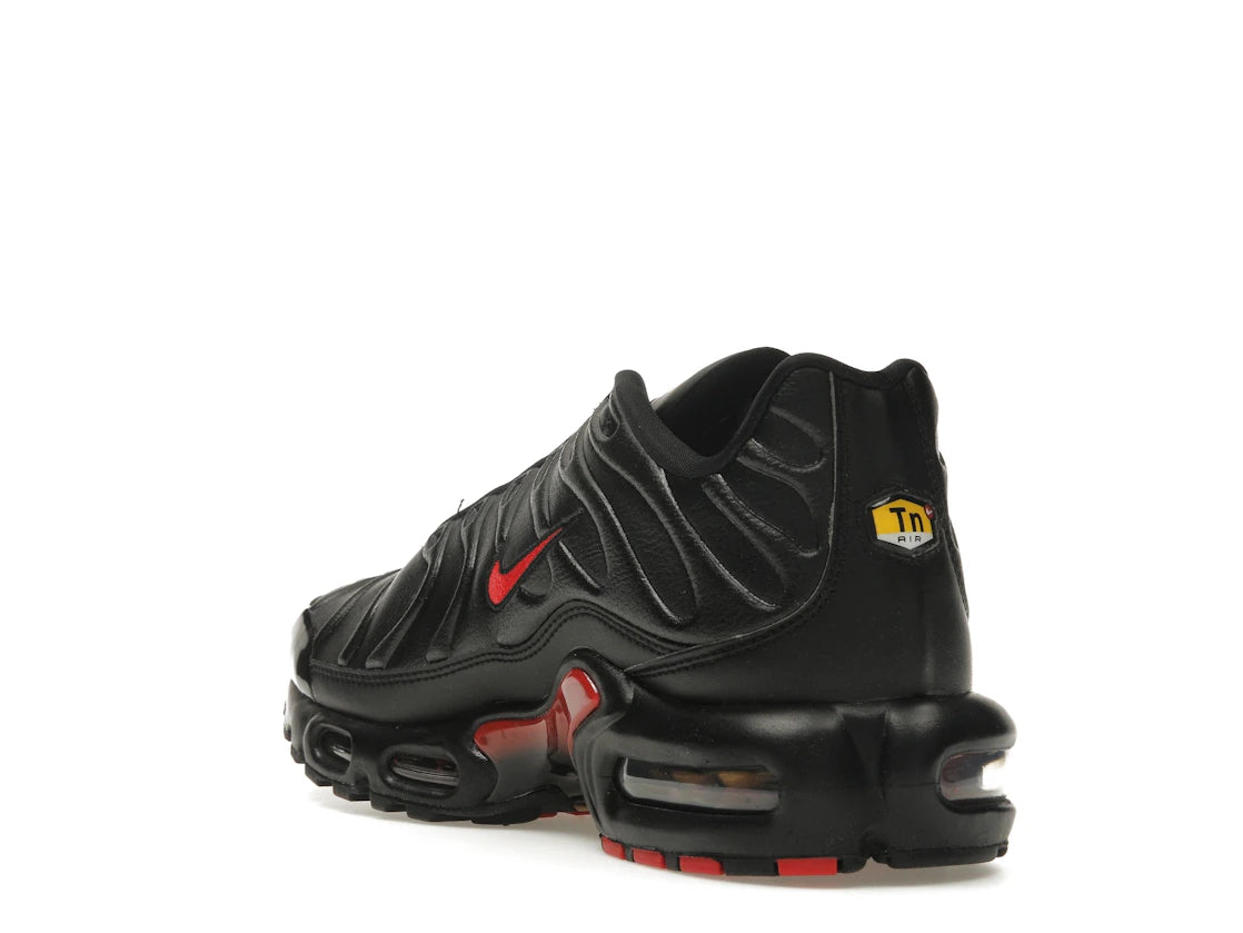 Nike Air Max Plus Premium Bred - vue secondaire B