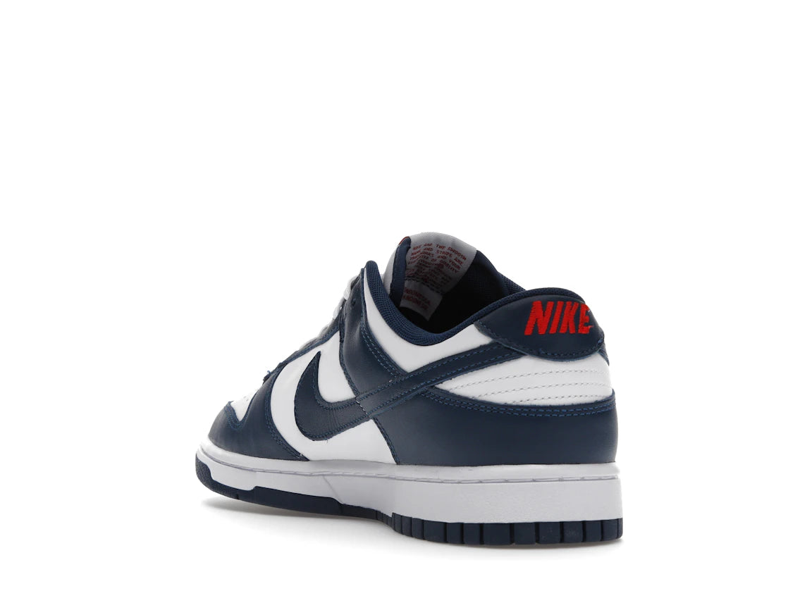 Nike Dunk Low Valerian Blue - vue secondaire B