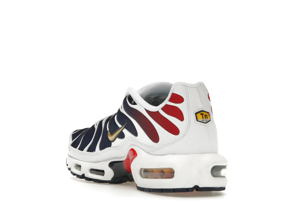 Nike Air Max Plus PSG - vue secondaire B