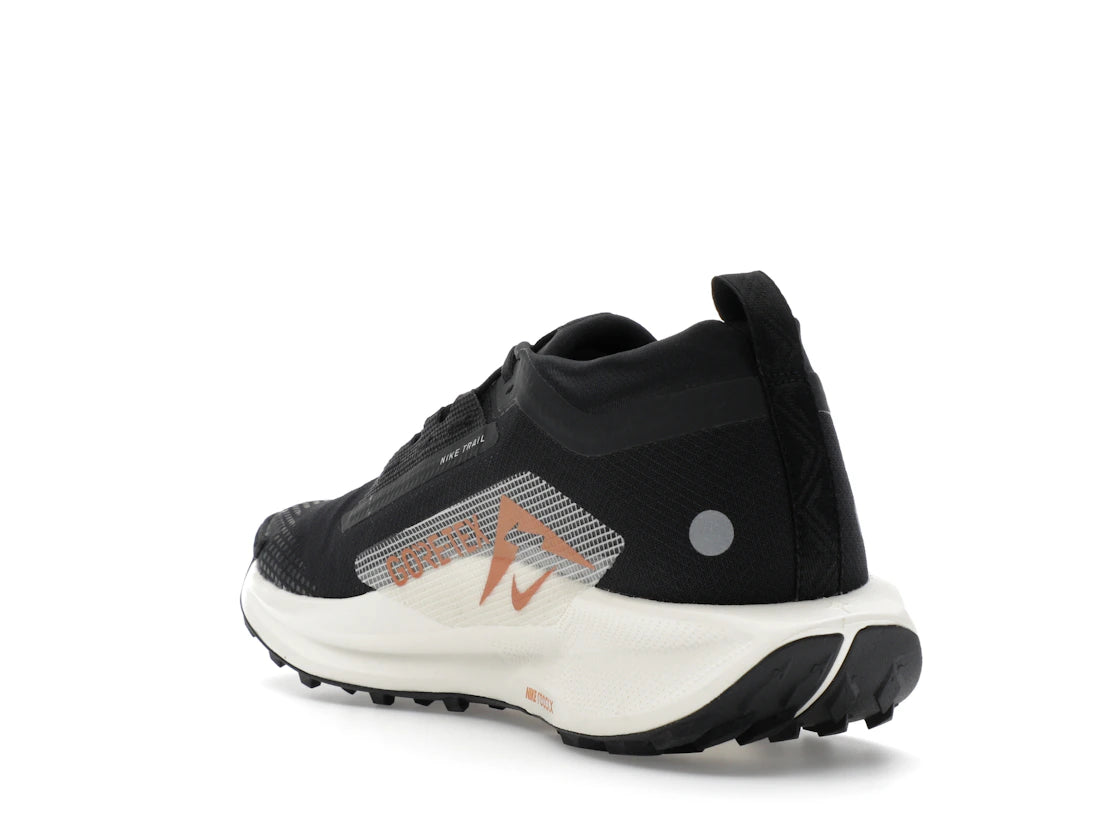 Nike Pegasus Trail 5 Gore-Tex Off Noir Black Monarch Pale Ivory - vue secondaire B
