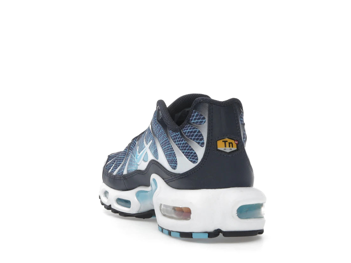 Nike Air Max Plus Dark Obsidian