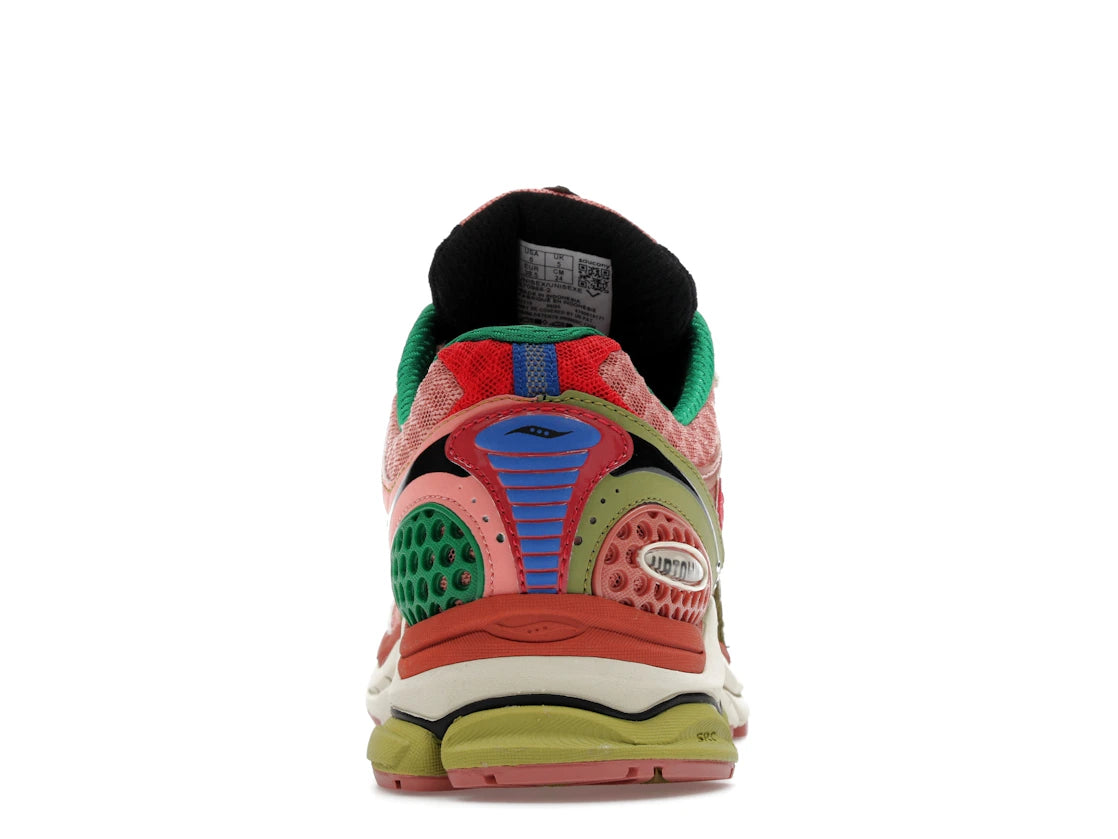 Saucony ProGrid Triumph 4 Jae Tips Flowers Grow Uptown Virginia Creeper