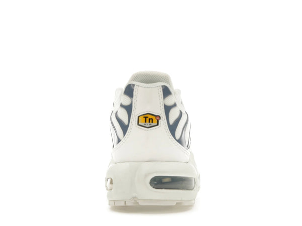 Nike Air Max Plus Ashen Slate (Women's)