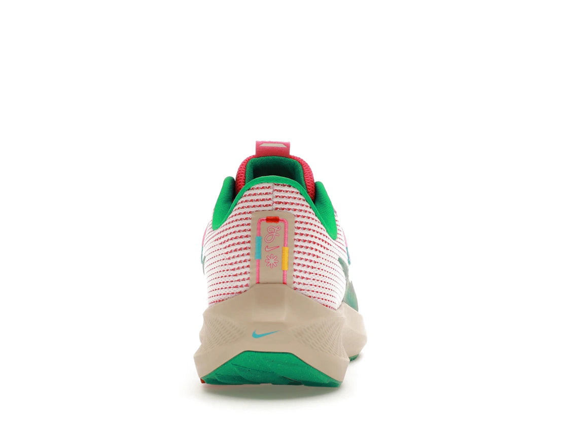 Nike Air Zoom Pegasus 40 Familia