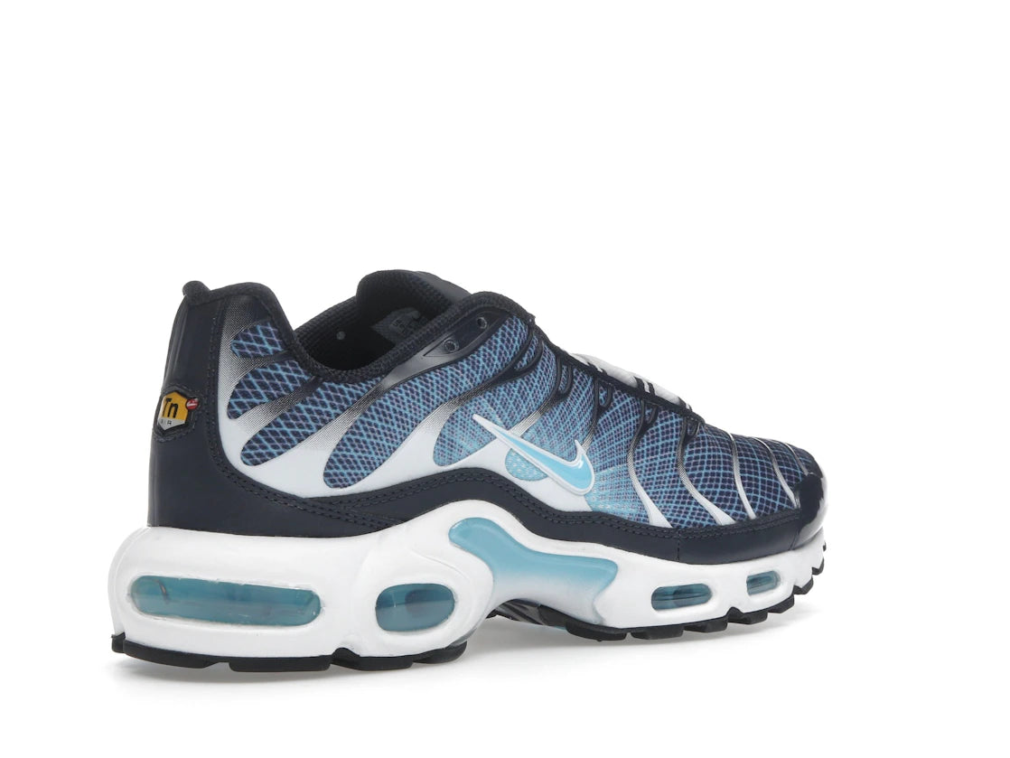 Nike Air Max Plus Dark Obsidian