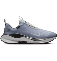 Nike React Infinity Run 4 Gore-Tex Ashen Slate Light Pumice Dark Smoke Grey Football Grey