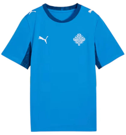 Puma Iceland Home Big Kids' Jersey Electro Royal/PUMA White - authentic Puma apparel