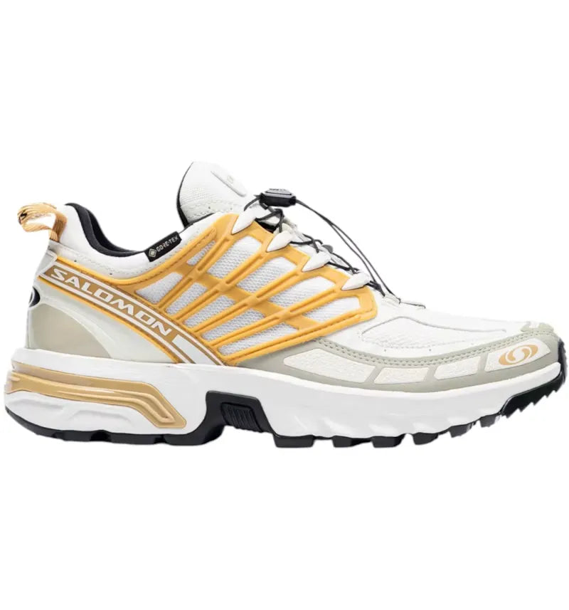 Salomon Acs Pro Gore-Tex Antelope Tea - vue 360