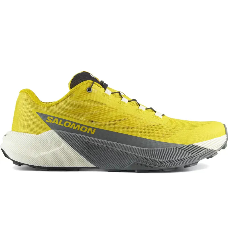 Salomon Pulsar Incaberry Sedona Sage - vue 360