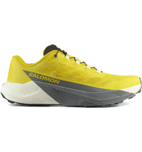 Salomon Pulsar Incaberry Sedona Sage